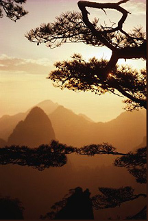 Pines and Peaks near Guilin, China