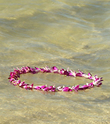 Lei floating out to sea.