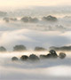 Misty hills