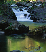 Still green pools below a flowing stream.