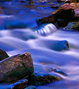 Stream water rushing over rocks.