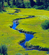 Meandering stream through a meadow.