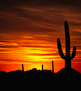 Sunset over the desert.