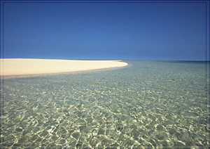 Tropical Beach and South Pacific