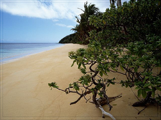 Beach at Fiji Resort