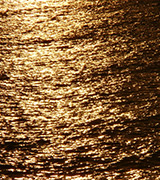Golden sunset reflected on the sea.