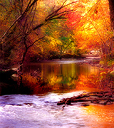 Vividly colored autumn trees reflected in a small river.