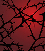 Thorns against a dark red background.
