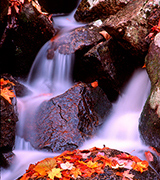 Autumn stream flowing over rocks