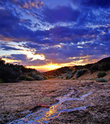 Desert stream at sunset.